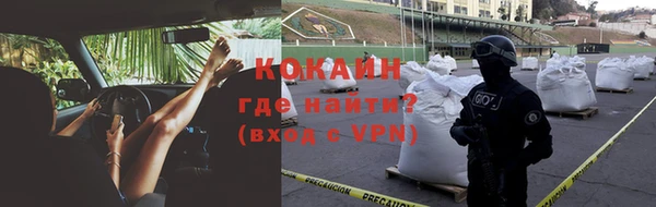 гашиш Богданович