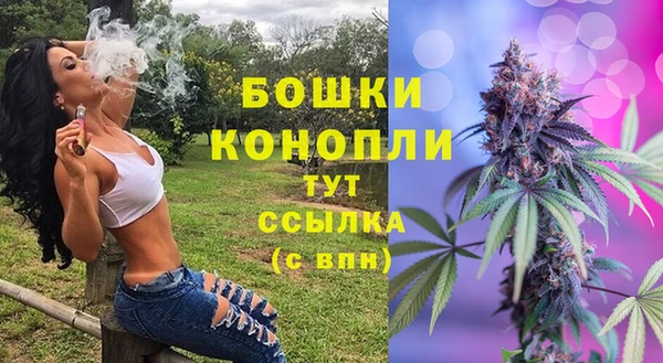 гашиш Богданович