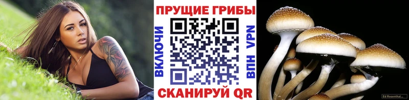 Псилоцибиновые грибы GOLDEN TEACHER  цена наркотик  Горняк 